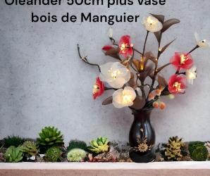 OLEANDER MIX BLANC/ROUGE 